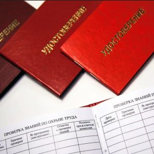 photo_1_2026-01-29_15-48-25