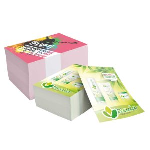 photo_2026-01-29_14-33-09