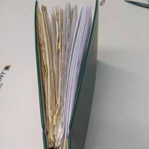 photo_2026-01-30_16-49-20