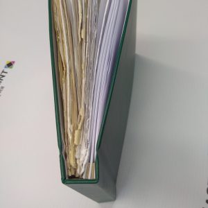 photo_2026-01-31_22-20-29