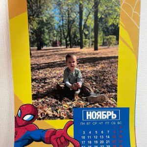 photo_2_2026-01-28_16-42-53