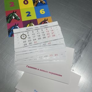 photo_3_2026-01-28_16-42-53