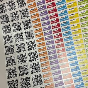 photo_6_2026-01-28_13-48-37