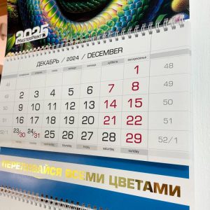 photo_8_2026-01-28_16-42-53